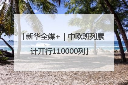 新华全媒+｜中欧班列累计开行110000列