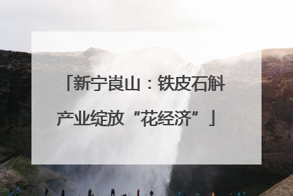 新宁崀山：铁皮石斛产业绽放“花经济”