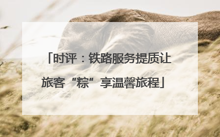 时评：铁路服务提质让旅客“粽”享温馨旅程