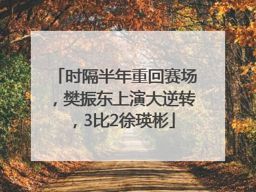 时隔半年重回赛场，樊振东上演大逆转，3比2徐瑛彬