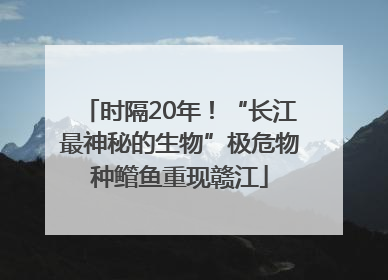 时隔20年！“长江最神秘的生物”极危物种鳤鱼重现赣江