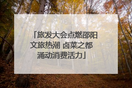 旅发大会点燃邵阳文旅热潮 卤菜之都涌动消费活力