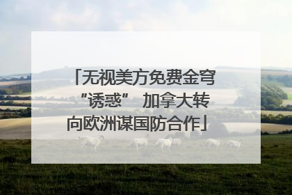 无视美方免费金穹“诱惑” 加拿大转向欧洲谋国防合作