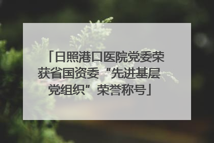 日照港口医院党委荣获省国资委“先进基层党组织”荣誉称号