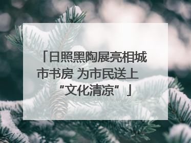 日照黑陶展亮相城市书房 为市民送上“文化清凉”