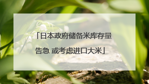 日本政府储备米库存量告急 或考虑进口大米