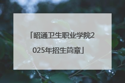 昭通卫生职业学院2025年招生简章