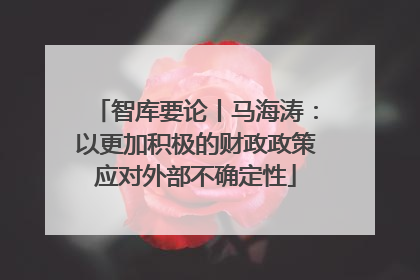 智库要论丨马海涛：以更加积极的财政政策应对外部不确定性