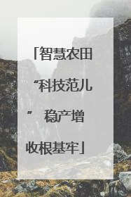 智慧农田“科技范儿” 稳产增收根基牢