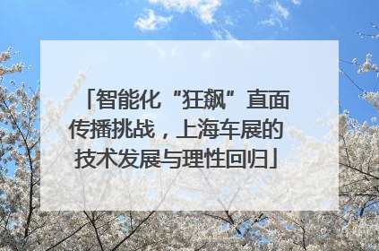 智能化“狂飙”直面传播挑战，上海车展的技术发展与理性回归