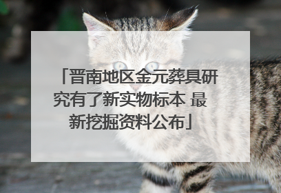 晋南地区金元葬具研究有了新实物标本 最新挖掘资料公布