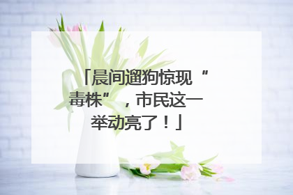 晨间遛狗惊现“毒株”，市民这一举动亮了！