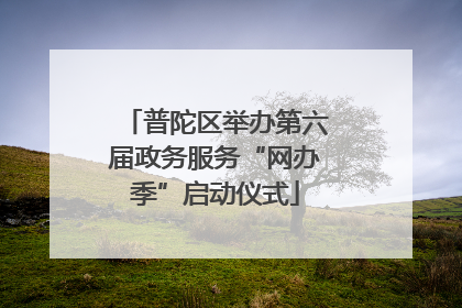 普陀区举办第六届政务服务“网办季”启动仪式