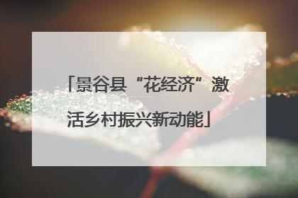 景谷县“花经济”激活乡村振兴新动能