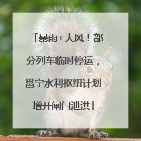暴雨+大风！部分列车临时停运，邕宁水利枢纽计划增开闸门泄洪