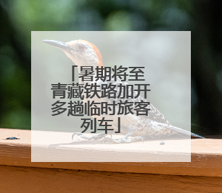 暑期将至 青藏铁路加开多趟临时旅客列车