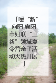 暖“新”向阳 襄阳市妇联“三新”领域夏令营亲子活动火热开展