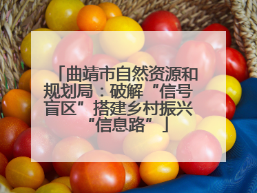 曲靖市自然资源和规划局：破解“信号盲区”搭建乡村振兴“信息路”
