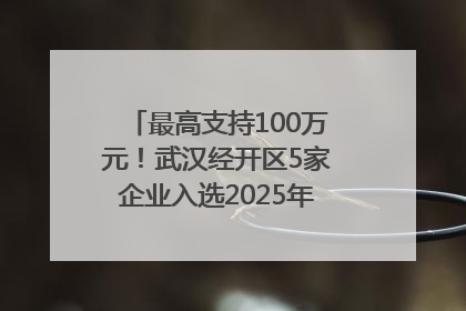 最高支持100万元！武汉经开区5家企业入选2025年度武汉市重点研发计划拟立项项目名单