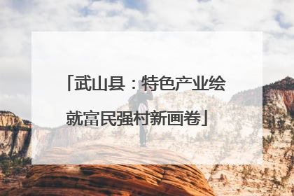 武山县：特色产业绘就富民强村新画卷