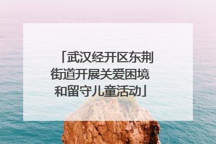 武汉经开区东荆街道开展关爱困境和留守儿童活动