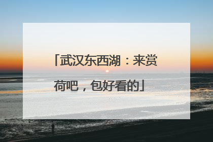 武汉东西湖：来赏荷吧，包好看的