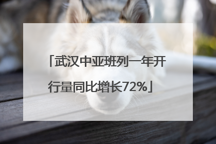 武汉中亚班列一年开行量同比增长72%