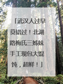 武汉人过早莫错过！北湖路梅氏三姊妹手工现包大馄饨，超鲜！