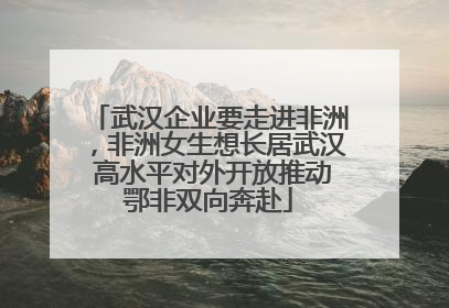 武汉企业要走进非洲，非洲女生想长居武汉 高水平对外开放推动鄂非双向奔赴