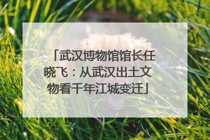 武汉博物馆馆长任晓飞：从武汉出土文物看千年江城变迁