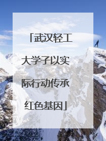 武汉轻工大学子以实际行动传承红色基因