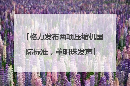 格力发布两项压缩机国际标准，董明珠发声