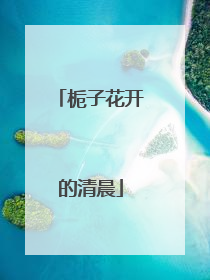 栀子花开的清晨