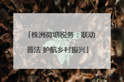 株洲荷塘税务：联动普法 护航乡村振兴