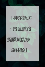 桂东新坊：景区道路提质赋能康旅体验