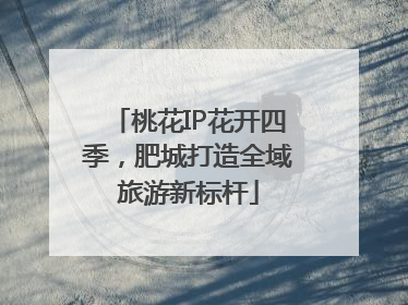桃花IP花开四季，肥城打造全域旅游新标杆