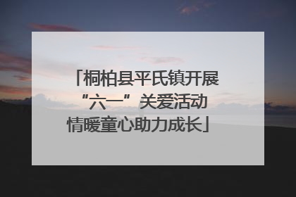桐柏县平氏镇开展“六一”关爱活动 情暖童心助力成长