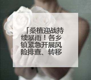 桑植迎战持续暴雨！各乡镇紧急开展风险排查、转移安置
