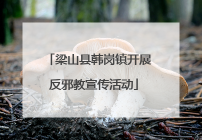 梁山县韩岗镇开展反邪教宣传活动