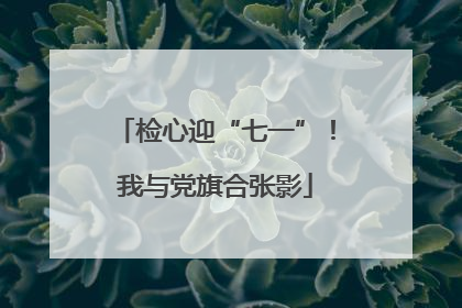 检心迎“七一”！我与党旗合张影