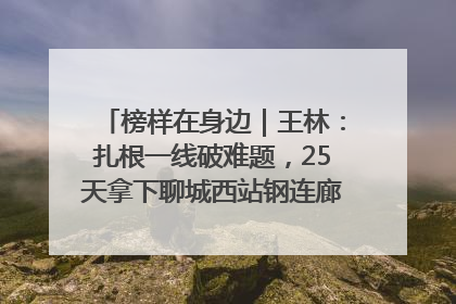 榜样在身边｜王林：扎根一线破难题，25天拿下聊城西站钢连廊“硬核”工程