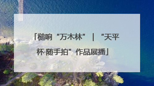 槌响“万木林”｜“天平杯·随手拍”作品展播