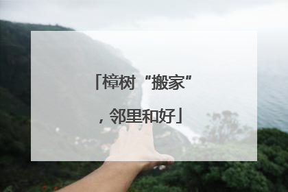 樟树“搬家”，邻里和好