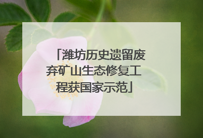 潍坊历史遗留废弃矿山生态修复工程获国家示范