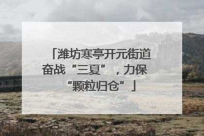 潍坊寒亭开元街道奋战“三夏”，力保“颗粒归仓”