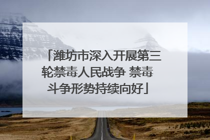 潍坊市深入开展第三轮禁毒人民战争 禁毒斗争形势持续向好