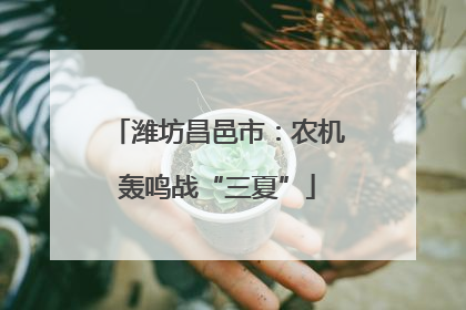 潍坊昌邑市：农机轰鸣战“三夏”