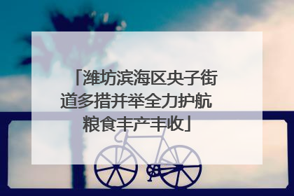 潍坊滨海区央子街道多措并举全力护航粮食丰产丰收