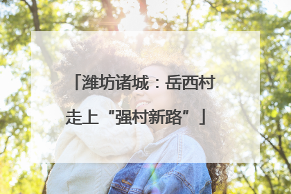 潍坊诸城：岳西村走上“强村新路”