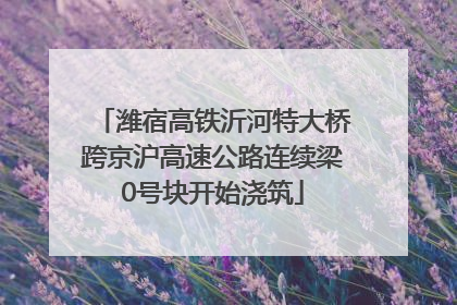潍宿高铁沂河特大桥跨京沪高速公路连续梁0号块开始浇筑